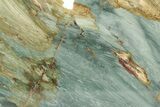 Gary Green Jasper (Larsonite) Bog Wood Slab - Oregon #227632-1